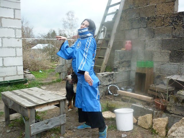 Фотография № 66214