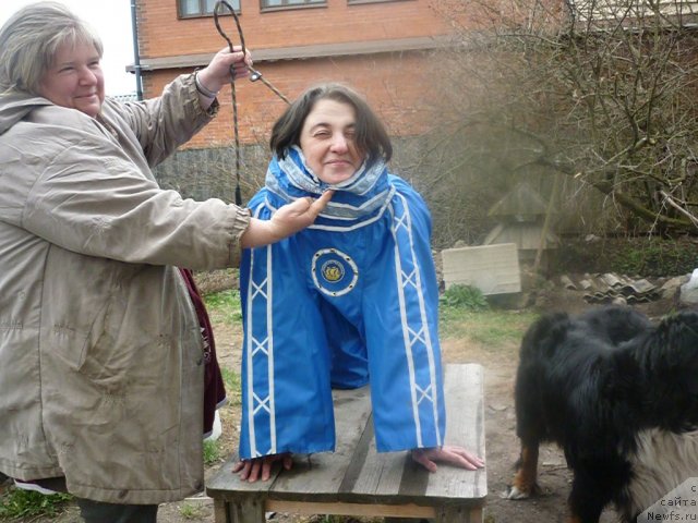 Фотография № 66218