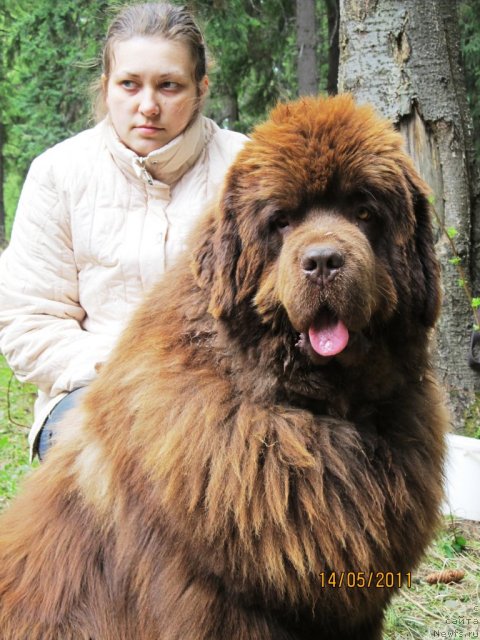 Фотография № 66236