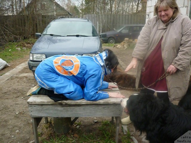 Фото: Ольга Браславская, Наталья Малинина