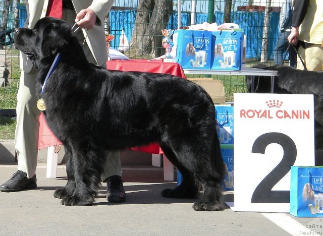 Фотография № 66261