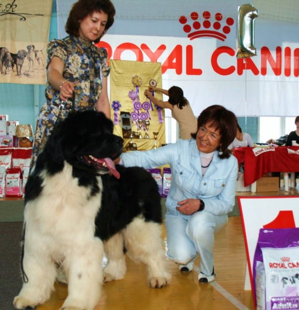 Фотография № 66325