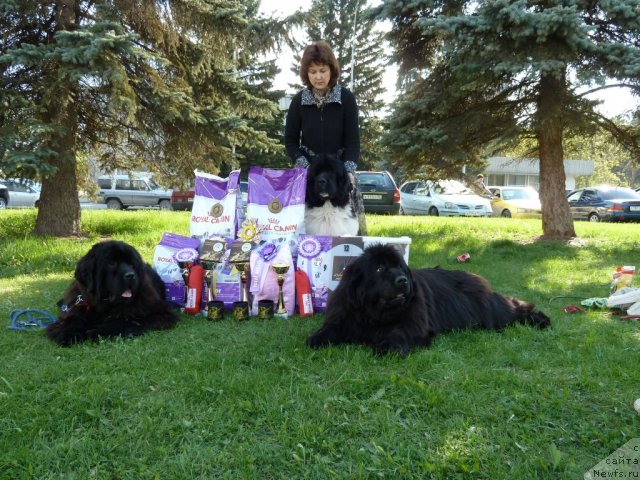 Фотография № 66341