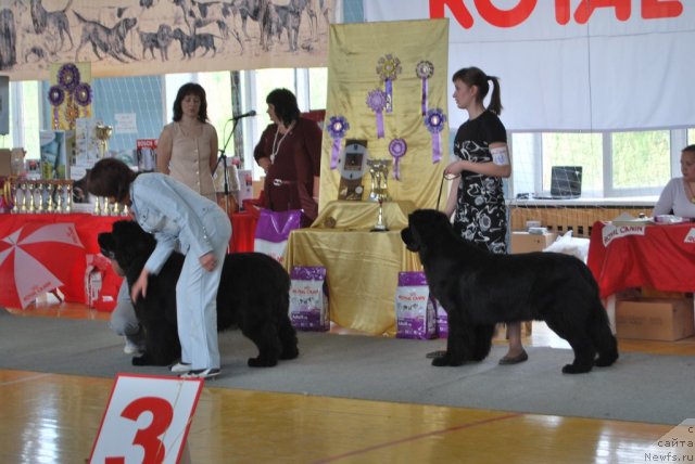 Фотография № 66342