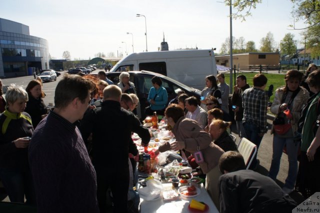 Фотография № 66357