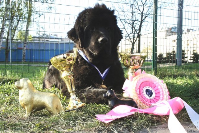 Фотография № 66364