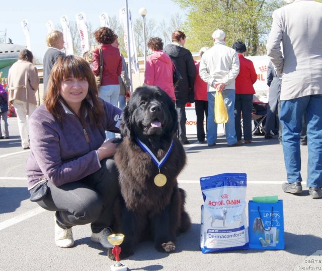 Фотография № 66369