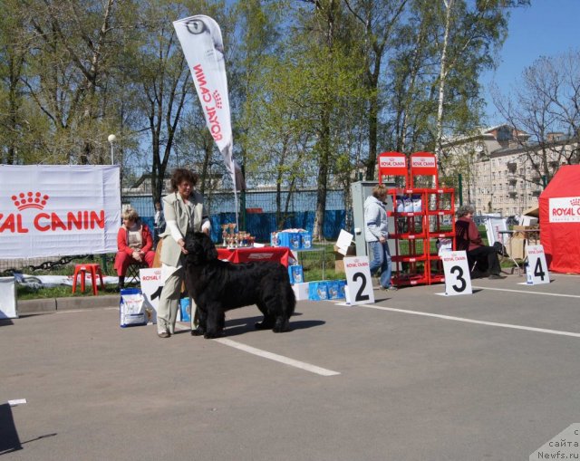 Фотография № 66371