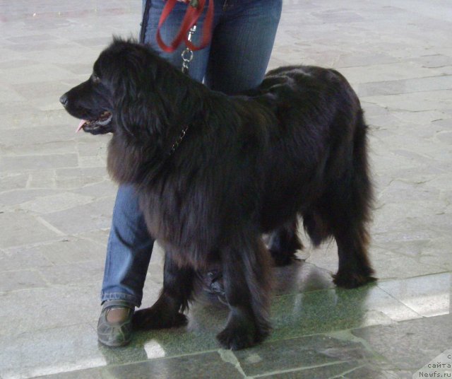 Фотография № 66379