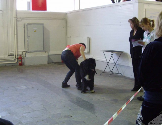 Фотография № 66381