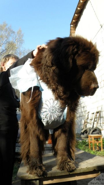 Фотография № 66530