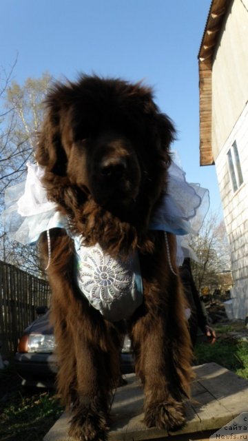 Фотография № 66531