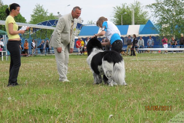 Фотография № 66532