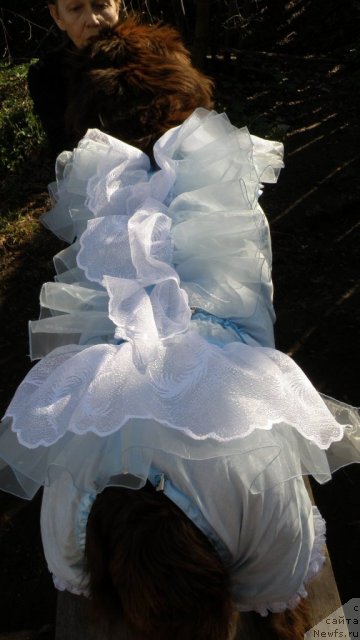 Фотография № 66535