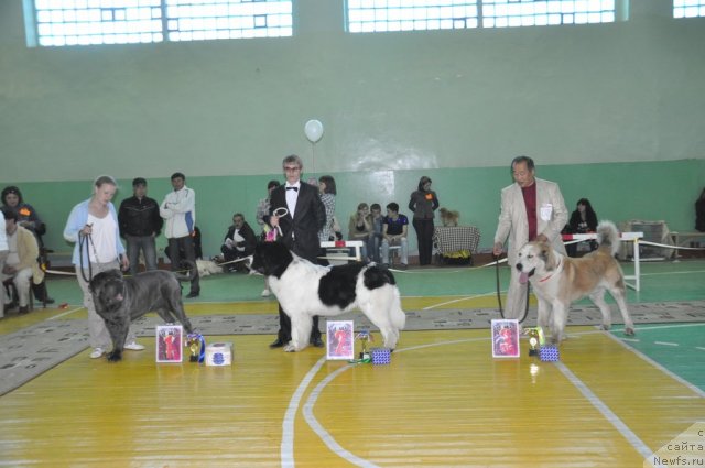 Фотография № 66544