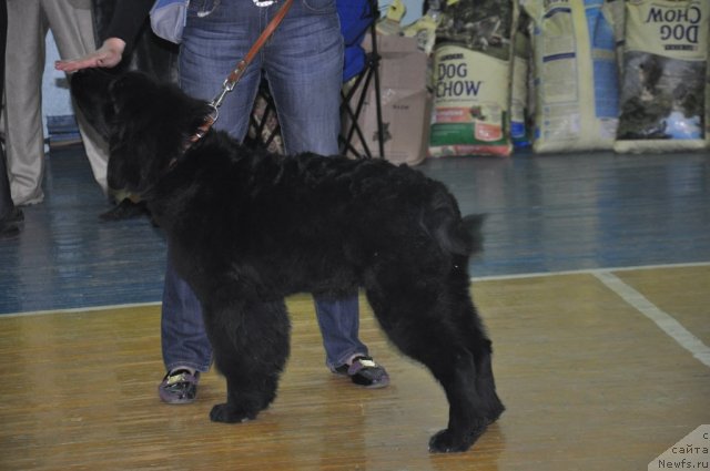 Фотография № 66547