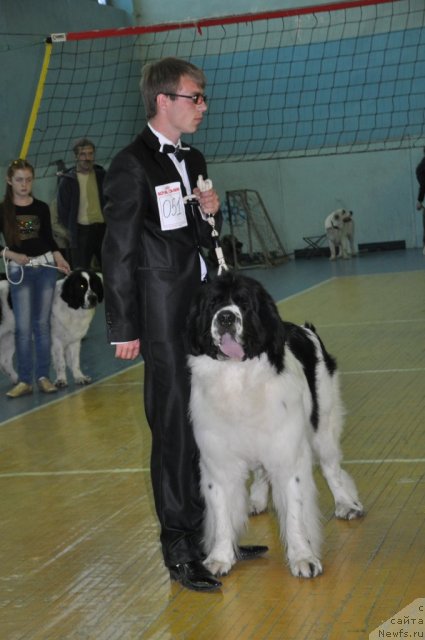 Фотография № 66550