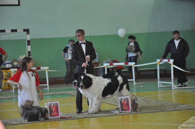 Фотография № 66552