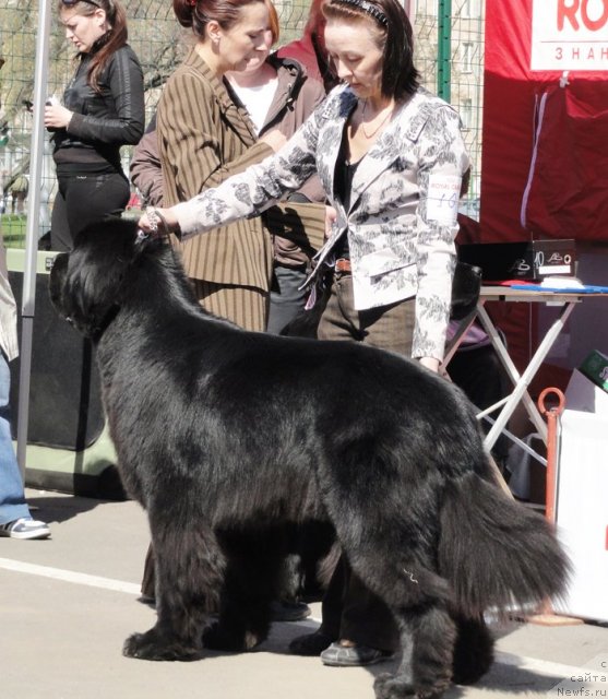 Фотография № 66582