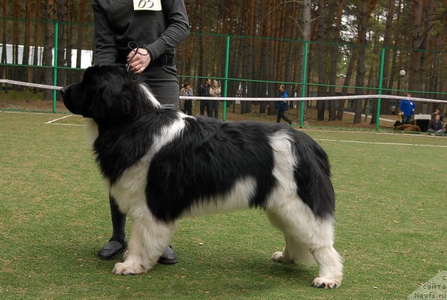 Фотография № 66589