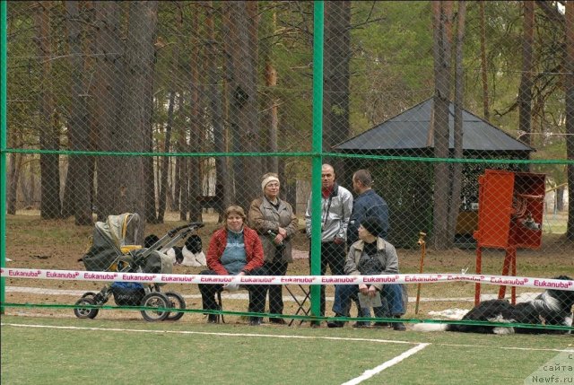 Фотография № 66595