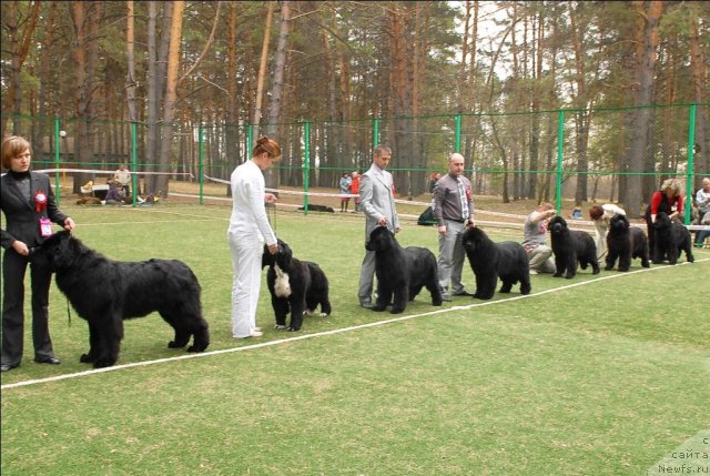 Фотография № 66634