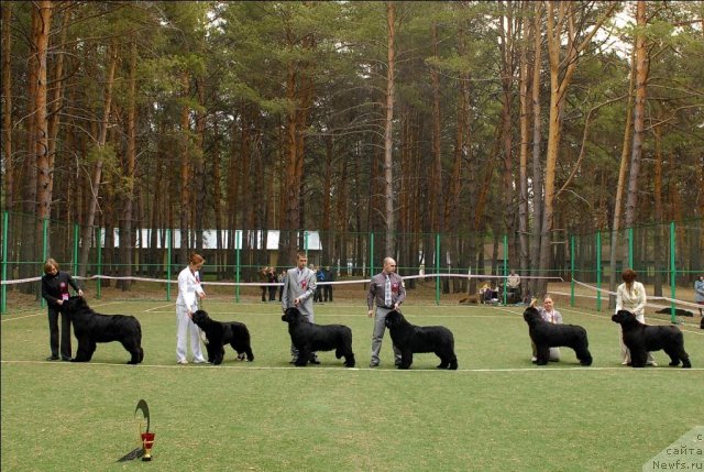 Фотография № 66640