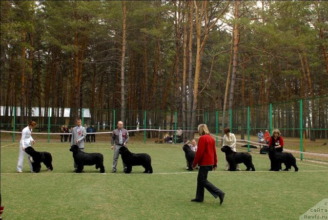 Фотография № 66642