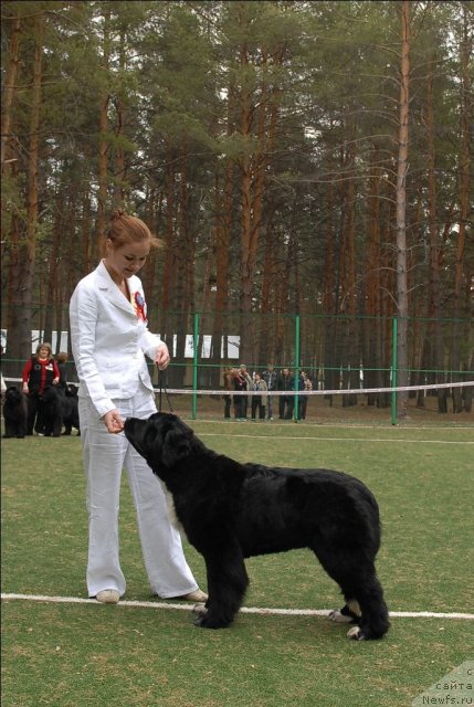 Фотография № 66660