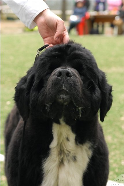 Фотография № 66662