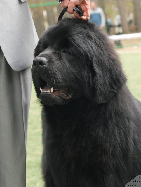 Фотография № 66680