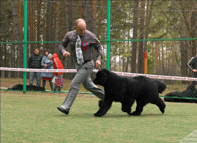 Фотография № 66691