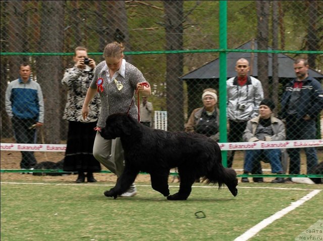 Фотография № 66698