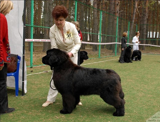 Фотография № 66702