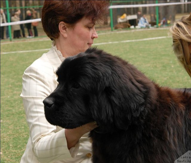 Фотография № 66703