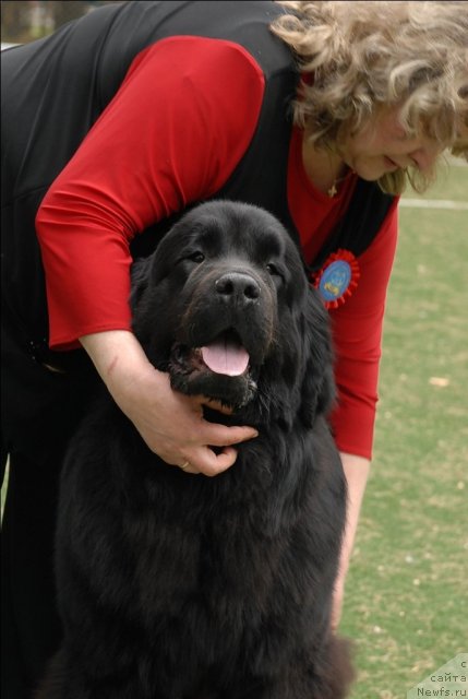 Фотография № 66713