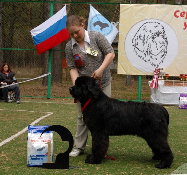 Фотография № 66716