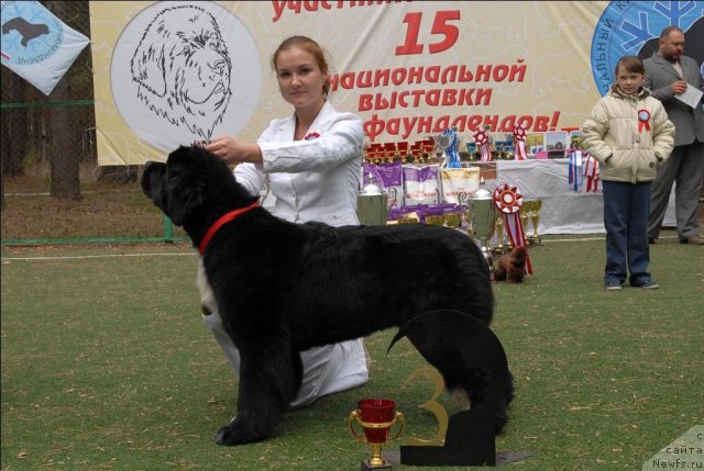 Фотография № 66718