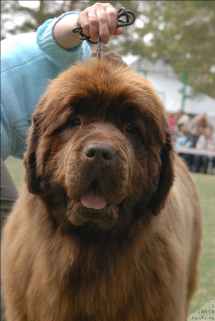 Фотография № 66722