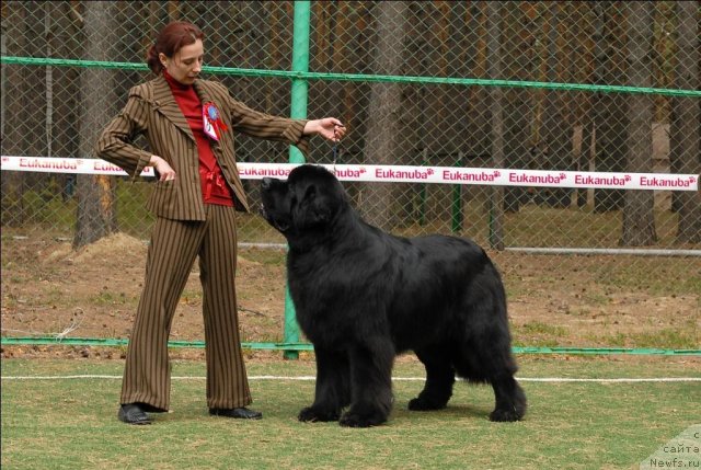 Фотография № 66744