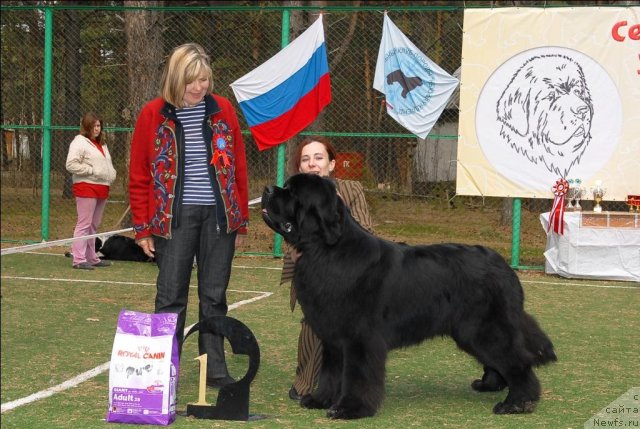 Фотография № 66791