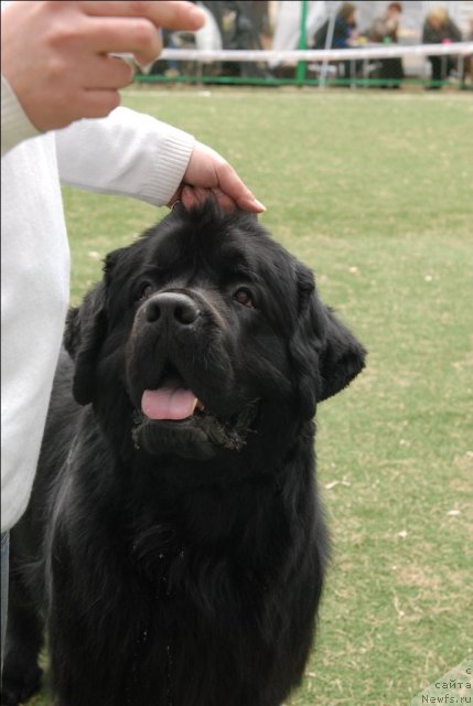 Фотография № 66804