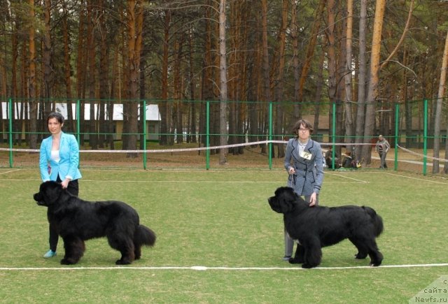 Фотография № 66807