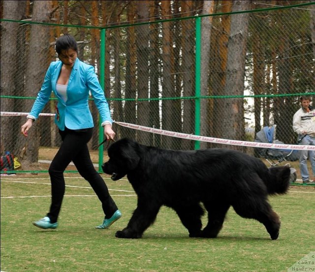 Фотография № 66811