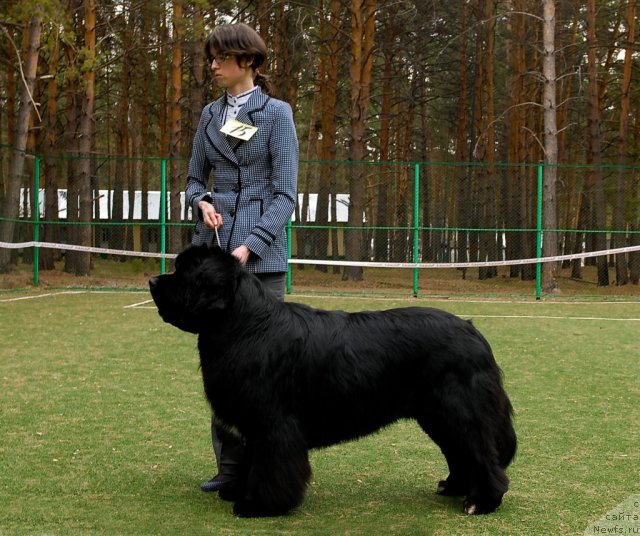 Фотография № 66813