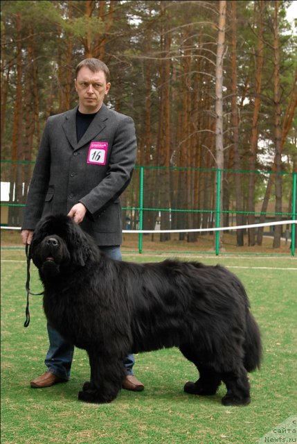 Фотография № 66821