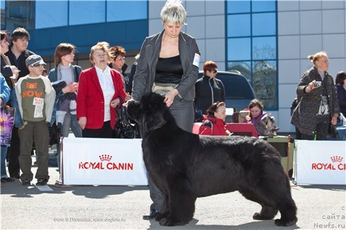 Фотография № 66831