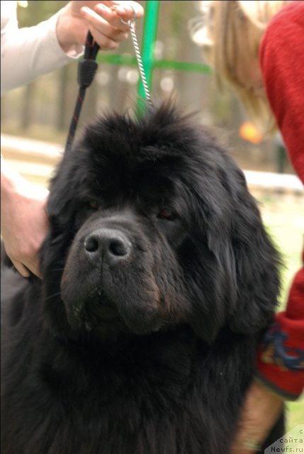 Фотография № 66840