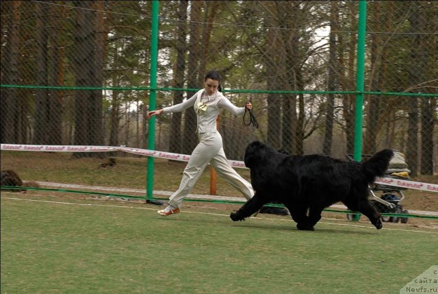 Фотография № 66848