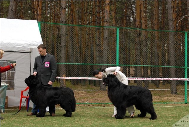 Фотография № 66850